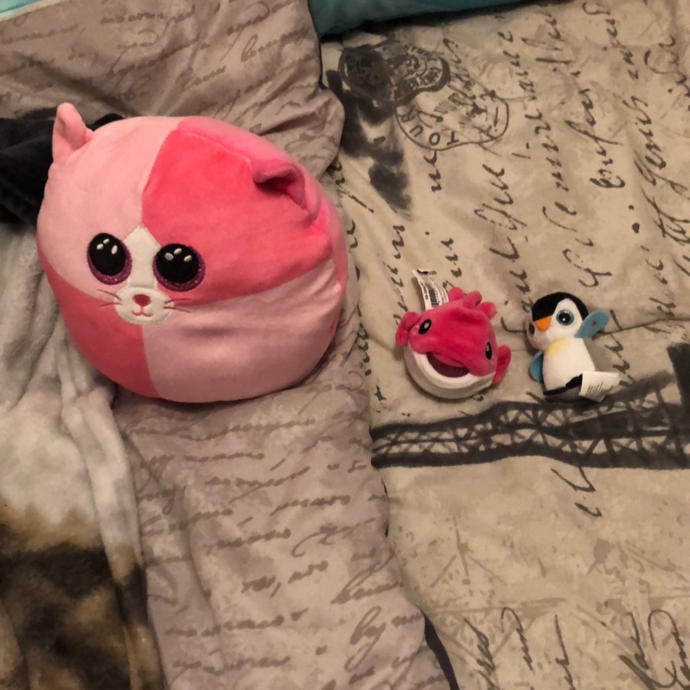 I am selling my stuff and they are beanie boos